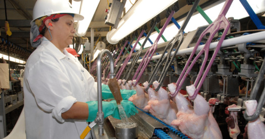 The U.S. Secretary of Agriculture announced in March the Food Safety and Inspection Service will extend waivers allowing pork and poultry producers to process meat at a faster pace than the previous time limits prescribed. (Photo courtesy Sentient)